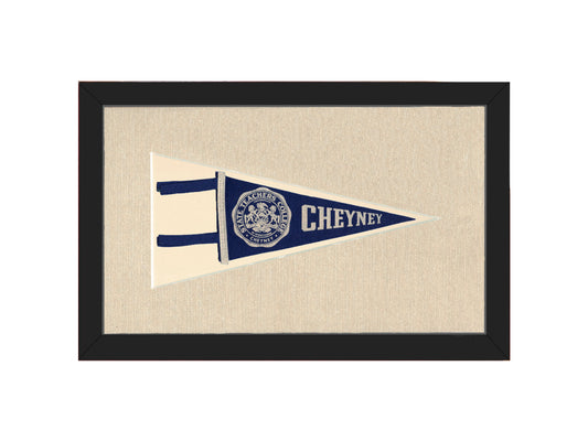 Vintage State Teachers College Pennant