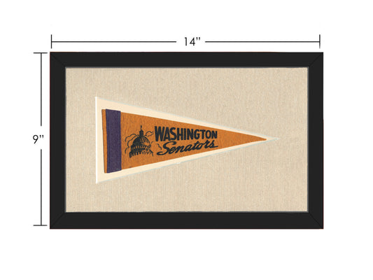 Vintage Washington Senators Pennant