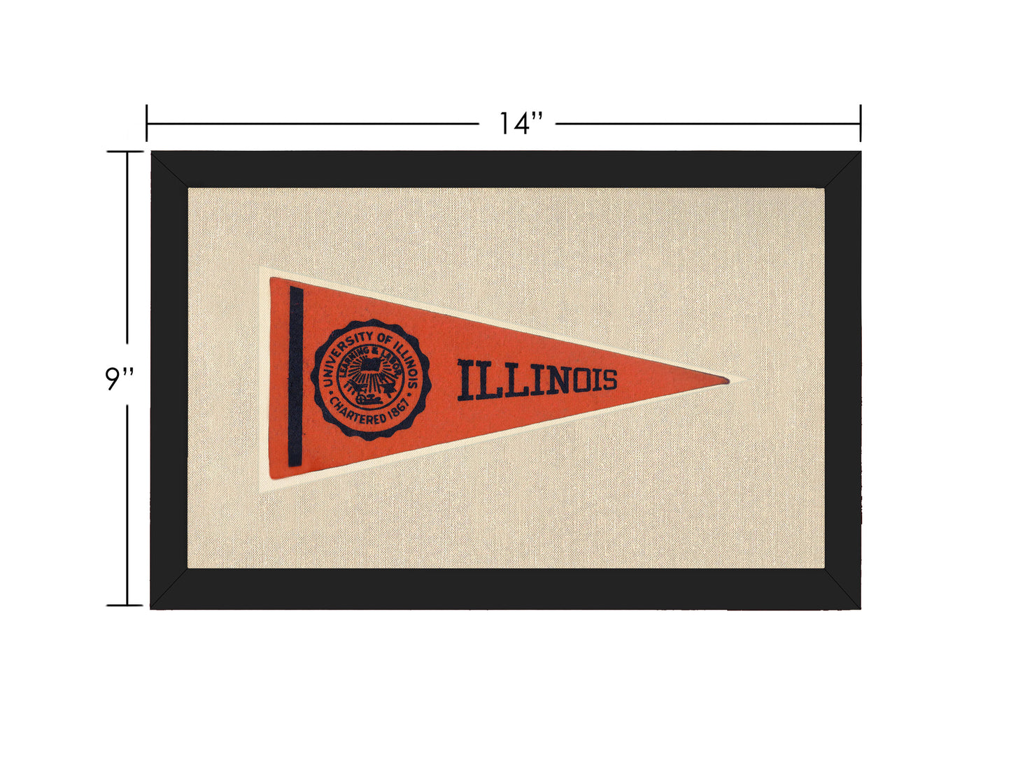 Vintage University of Illinois Pennant