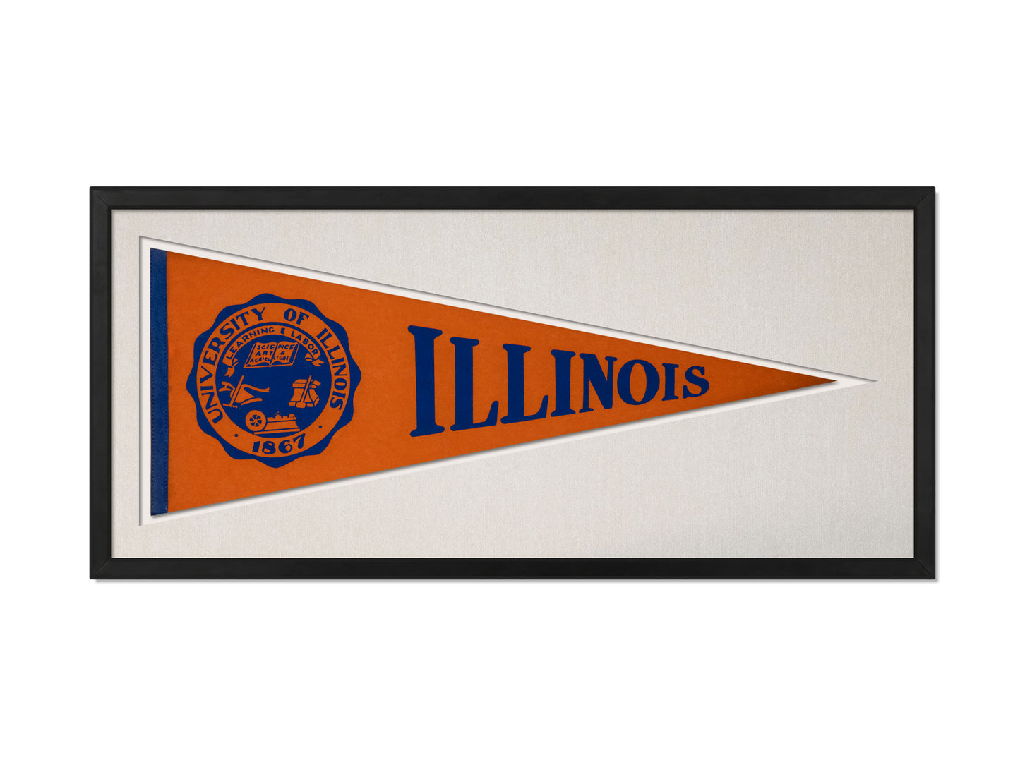 Vintage Illinois Pennant