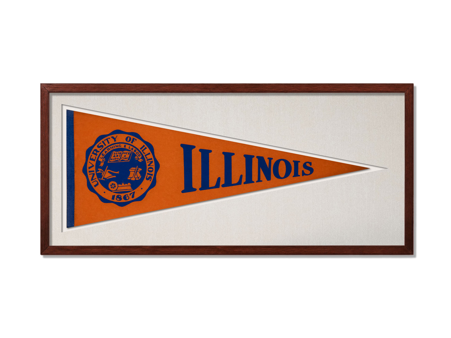 Vintage Illinois Pennant
