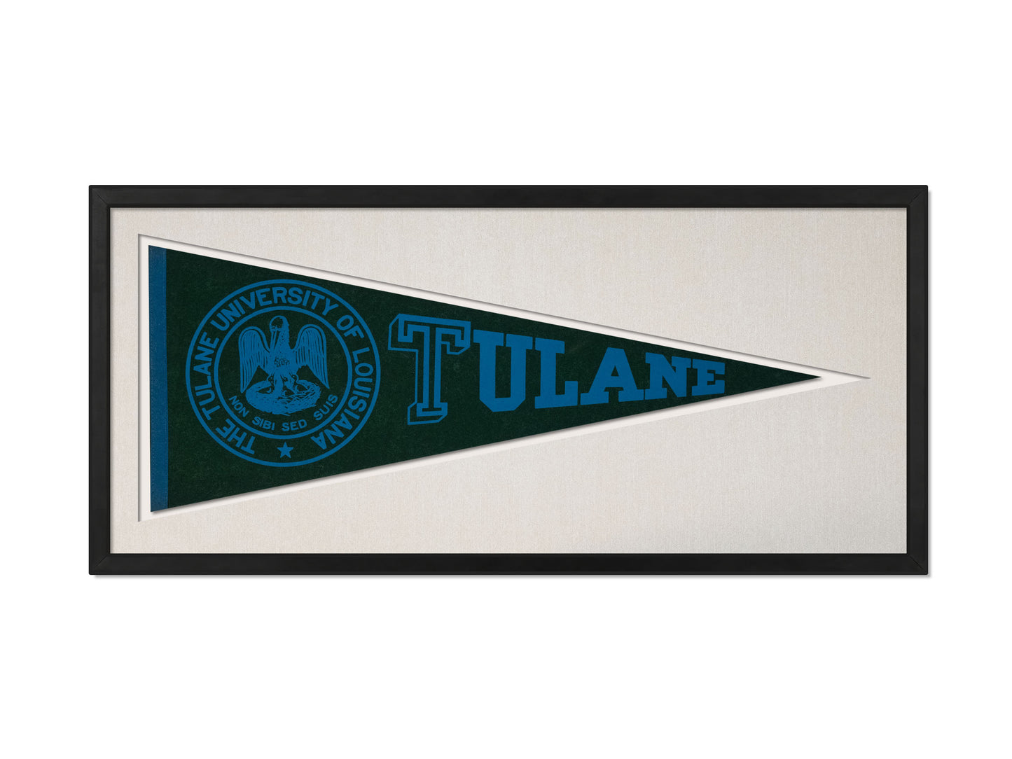 Vintage Tulane University Pennant