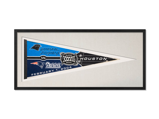 New England Patriots v Carolina Panthers 2004 Super Bowl XXXVIII