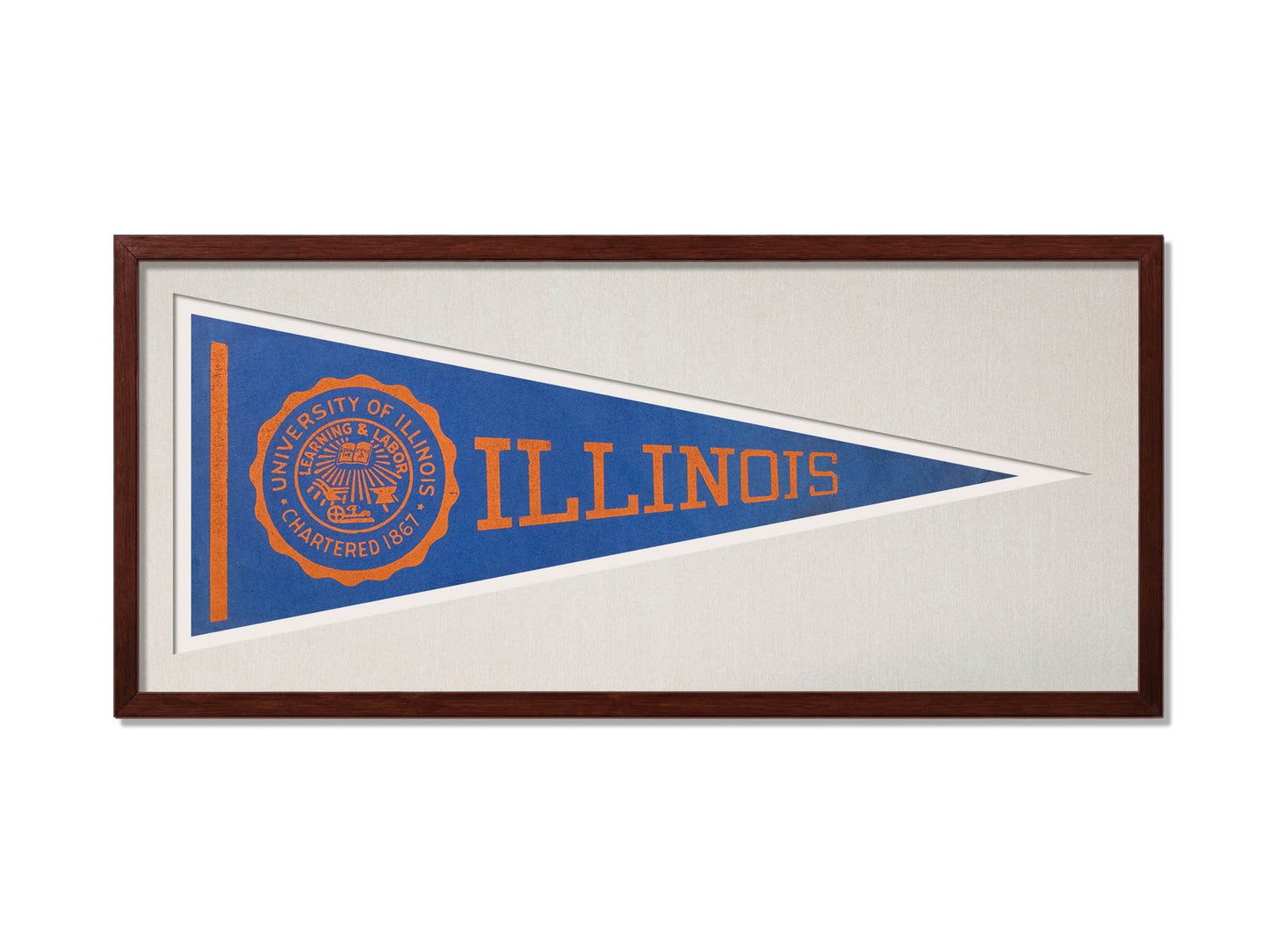 Vintage Illinois Pennant