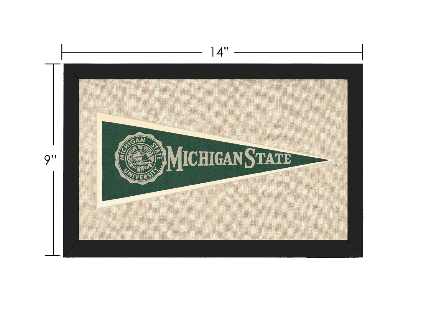 Vintage Michigan State Hormel Pennant